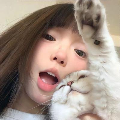 双面追缉